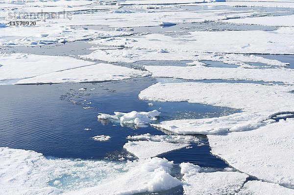 Packeis  Arktischer Ozean  Spitzbergen  Svalbard-Archipel  Norwegen  Europa