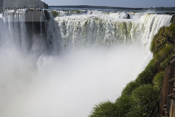 Iguazu-Fälle von der argentinischen Seite  Brasilien  Argentinien  Südamerika