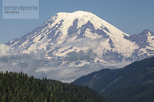 Blick auf den schneebedeckten Vulkankegel des Mount Rainier  Washington  USA  Nordamerika