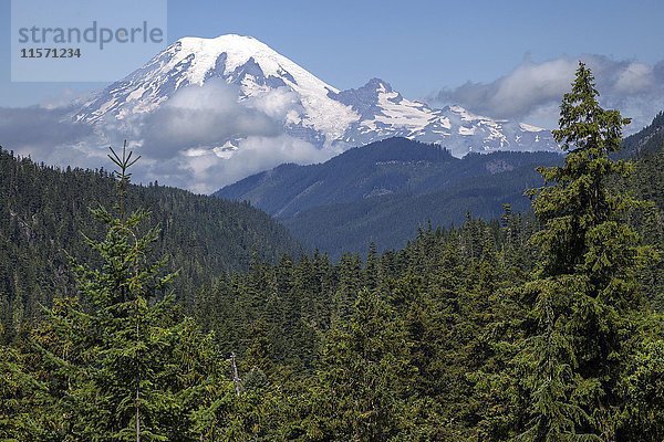 Blick auf den schneebedeckten Vulkankegel des Mount Rainier  Washington  USA  Nordamerika