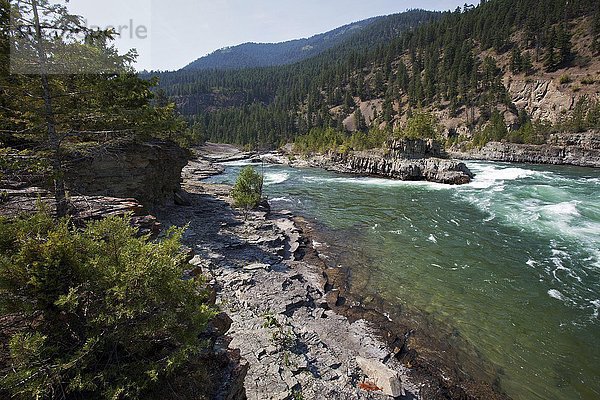 Kootenai River bei Libby  Provinz Montana  USA  Nordamerika