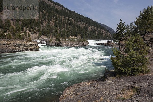 Kootenai Falls  Kootenai River bei Libby  Provinz Montana  USA  Nordamerika