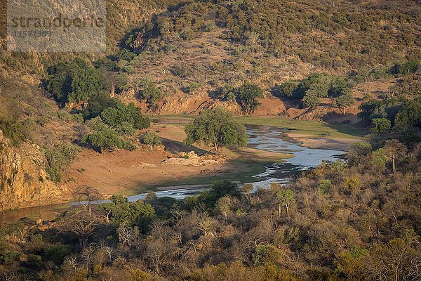 Luvuvhu-Fluss  Krüger-Nationalpark  Südafrika  Afrika
