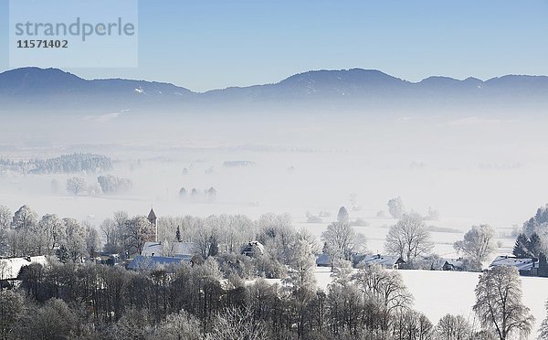 Morgennebel im Winter über dem Loisachtal  Dorf Zell bei Großweil  Oberbayern  Bayern  Deutschland  Europa