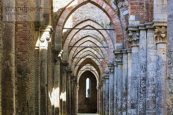 Ruinen der Abtei San Galgano  Chiusdino  Toskana  Italien  Europa