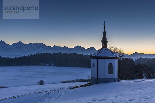 Kleine Kapelle im Schnee  Hegratsrieder Weiher  im Hintergrund Allgäuer Alpen  Bayern