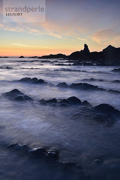 Felsen im Meer  felsige Küste im Abendlicht  Atlantikküste  Hartland Quay  Devon  Vereinigtes Königreich  Europa