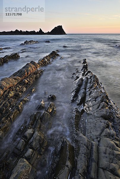 Felsen im Meer  felsige Küste  Atlantikküste  Hartland Quay  Devon  Vereinigtes Königreich  Europa