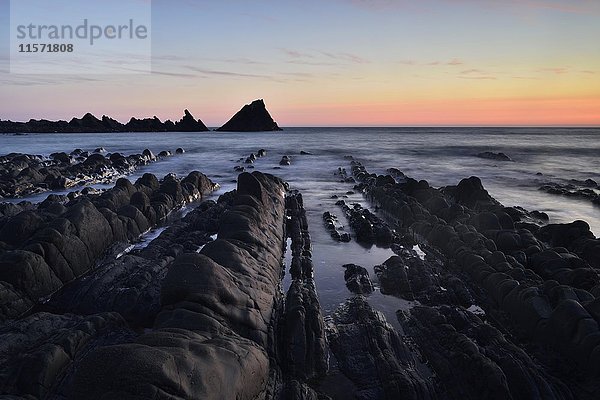 Felsen im Meer  felsige Küste im Abendlicht  Atlantikküste  Hartland Quay  Devon  Vereinigtes Königreich  Europa