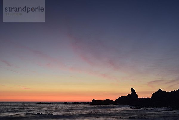 Felsenküste im Abendlicht  Sonnenuntergang  Atlantikküste  Hartland Quay  Devon  Vereinigtes Königreich  Europa