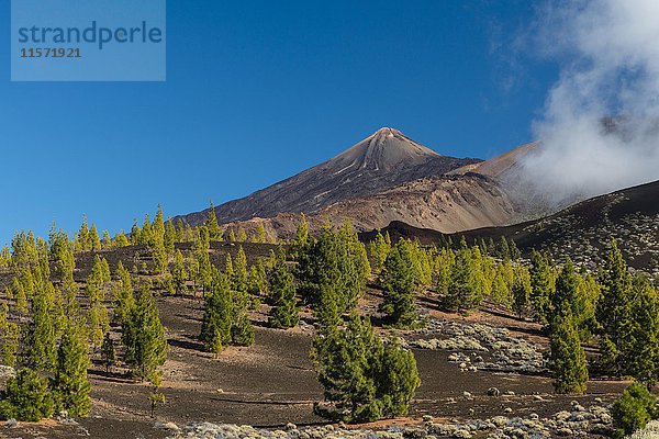 Berg Teide  Teide-Nationalpark  Teneriffa  Spanien  Europa