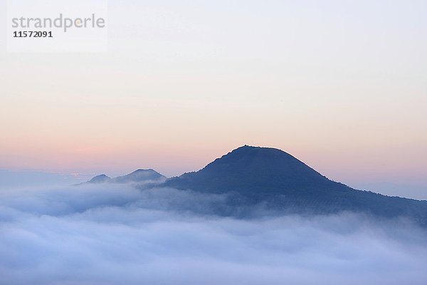 Berg Oblik umgeben von Nebel  Böhmisches Mittelgebirge  Mnichov  Tschechische Republik  Europa
