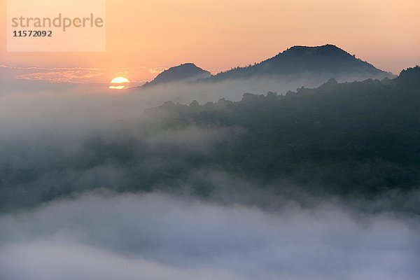 Hügel im Nebel bei Sonnenaufgang  Böhmisches Mittelgebirge  Tschechische Republik  Europa