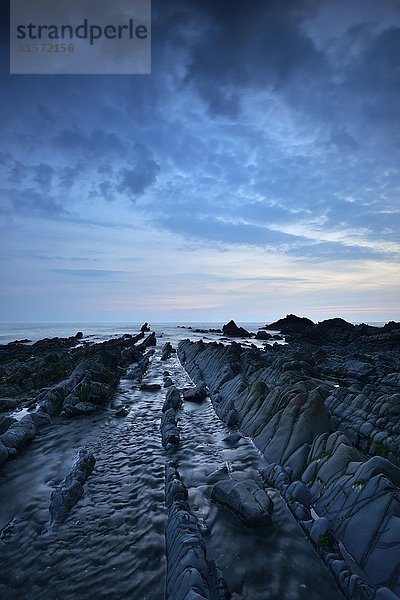 Blaue Stunde  felsige Küste  Felsen bei Ebbe  Atlantikküste  Devon  Südengland  Vereinigtes Königreich  Europa