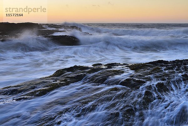 Wellen brechen an Felsen an der Küste  Dunbar  Schottland