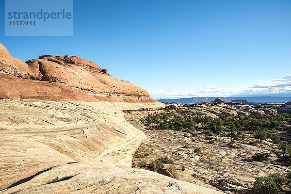 Felsformation  Felsplateau  Bezirk Needles  Canyonlands-Nationalpark  Utah  USA  Nordamerika