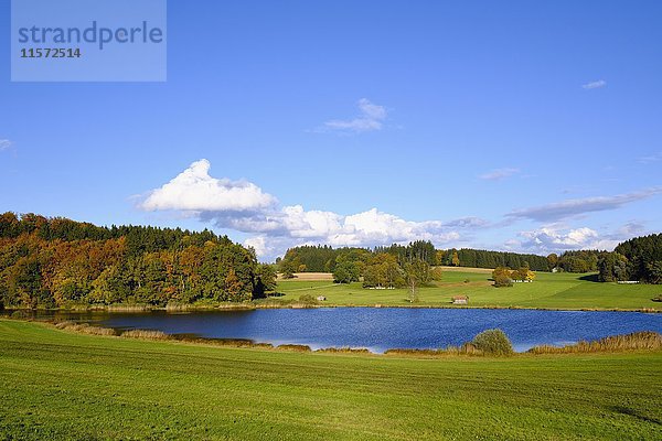 Sonderhamer Weiher  Münsing  Fünfseenland  Oberbayern  Bayern  Deutschland  Europa