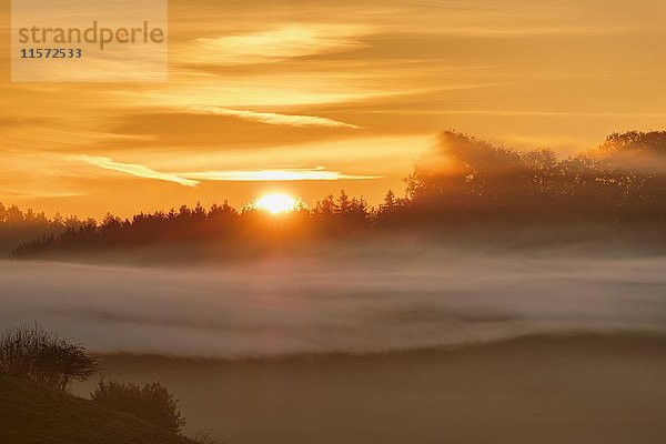 Sonnenaufgang  neblige Atmosphäre  Bauersbach bei Wielenbach  Fünfseenland  Oberbayern  Bayern  Deutschland  Europa