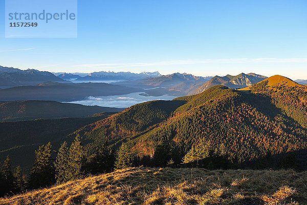 Walchensee und Jochberg im Morgenlicht  Blick vom Hirschhörnlkopf  Jachenau  Isarwinkel  Oberbayern  Bayern  Deutschland  Europa