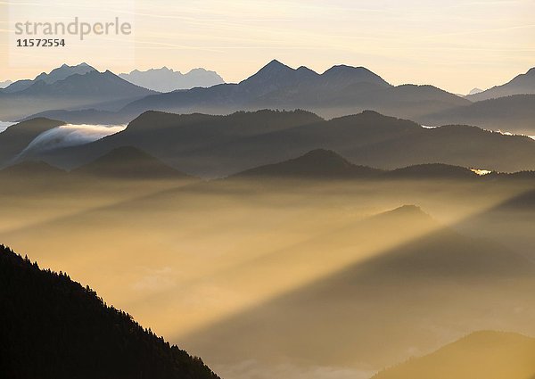 Sonnenstrahlen im Dunst  Blick vom Hirschhörnlkopf  Jachenau  Isarwinkel  Bayerische Voralpen  Oberbayern  Bayern  Deutschland  Europa