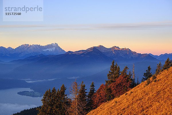 Walchensee  Zugspitze und Krottenkopf im Estergebirge  Blick vom Hirschhörnlkopf im Morgenlicht  Jachenau  Isarwinkel  Oberbayern  Bayern  Deutschland  Europa