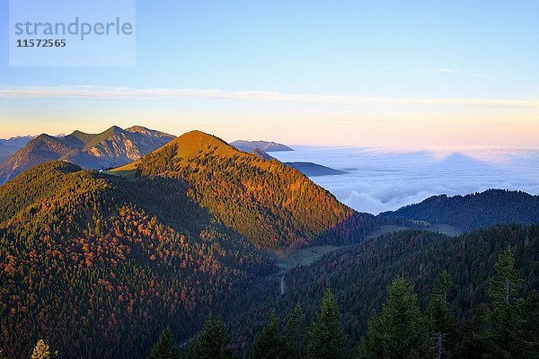 Jochberg und Herzogstand im Morgenlicht  Blick vom Hirschhörnlkopf  Jachenau  Isarwinkel  Oberbayern  Bayern  Deutschland  Europa