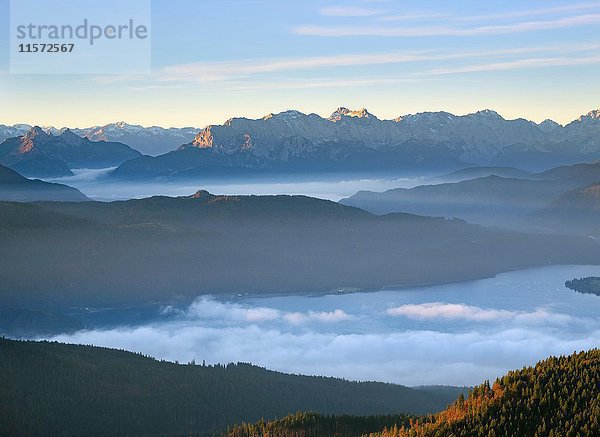 Walchensee und Wettersteinmassiv  Blick vom Hirschhörnlkopf über die Wolkendecke  Jachenau  Isarwinkel  Oberbayern  Bayern  Deutschland  Europa