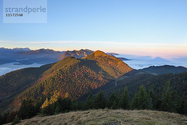 Jochberg im Morgenlicht  Blick vom Hirschhörnlkopf  Jachenau  Isarwinkel  Oberbayern  Bayern  Deutschland  Europa