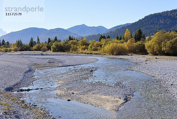 Isar  Wallgau  Werdenfels  Oberbayern  Bayern  Deutschland  Europa