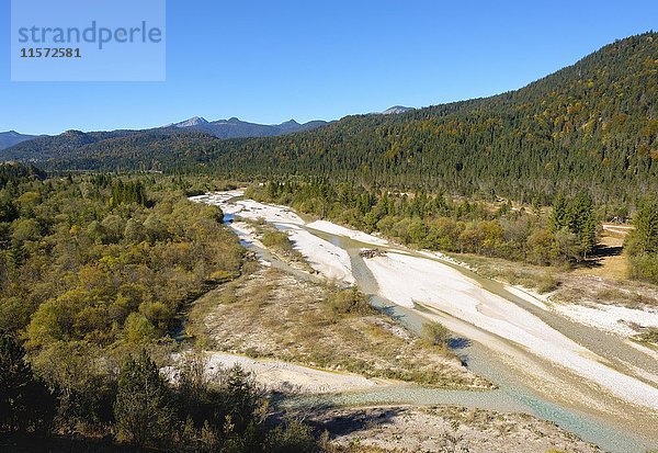 Isar  Isartal in Wallgau  Werdenfels  Oberbayern  Bayern  Deutschland  Europa