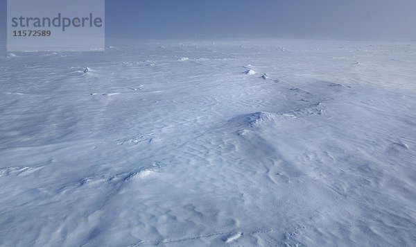 Packeis mit Schneeverwehungen  Spitzbergen  Norwegen  Europa