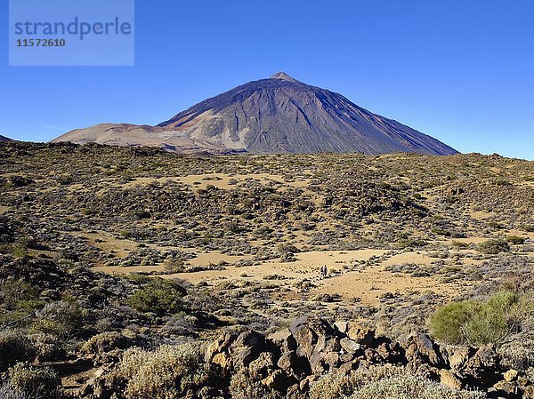 Pico del Teide  Nordostseite  Teide-Nationalpark  Parque Nacional de las Cañadas del Teide  Teneriffa  Kanarische Inseln  Spanien  Europa