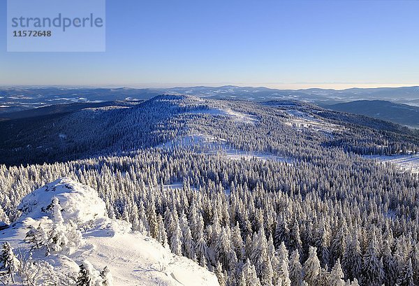 Mittagsplatzl  Blick Großer Arber  Naturschutzgebiet Bayerischer Wald  Niederbayern  Bayern  Deutschland  Europa