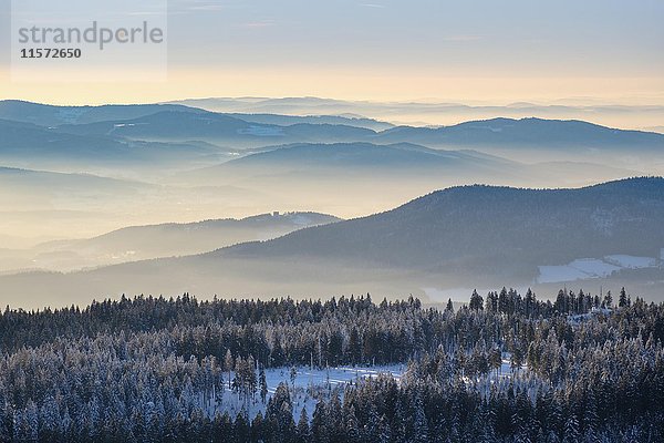 Nebel im Tal  Blick vom Großen Arber im Schnee  Naturpark Bayerischer Wald  Niederbayern  Bayern  Deutschland  Europa