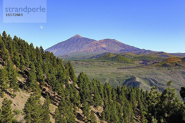 Vulkan Pico del Teide und Pico Viejo  Blick vom Teno-Gebirge  Teneriffa  Kanarische Inseln  Spanien  Europa