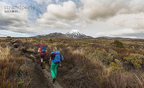 Wanderer  Vulkan  Mount Tongariro und Mount Ngauruhoe  Tongariro National Park  Southland  Neuseeland  Ozeanien
