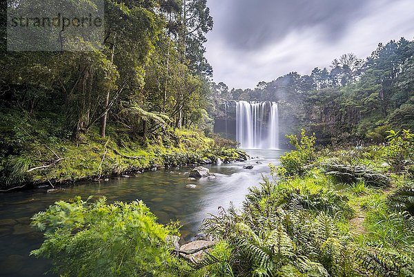 Wasserfall  Rainbow Falls oder Waianiwaniwa  Kerikeri River  Northland  Nordinsel  Neuseeland  Ozeanien