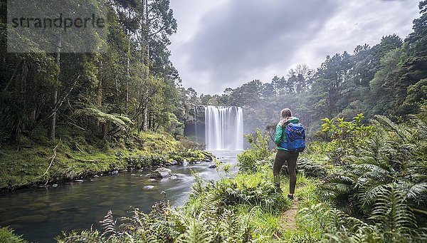 Wanderer vor Wasserfall  Rainbow Falls oder Waianiwaniwa  Kerikeri River  Northland  Nordinsel  Neuseeland  Ozeanien