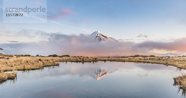 Spiegelung im Puakai Tarn  Stratovulkan Mount Taranaki oder Mount Egmont bei Sonnenuntergang  Egmont National Park  Taranaki  Neuseeland  Ozeanien