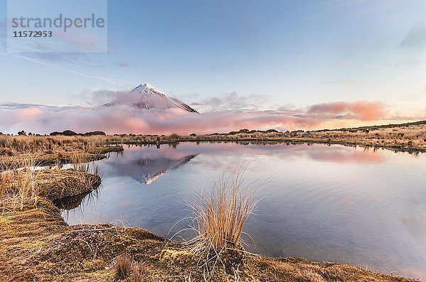Spiegelung im Pouakai Tarn See  rosa Wolken zum Stratovulkan Mount Taranaki oder Mount Egmont bei Sonnenuntergang  Egmont National Park  Taranaki  Neuseeland  Ozeanien