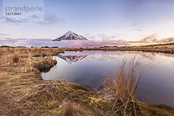 Spiegelung im Pouakai Tarn See  rosa Wolken um den Stratovulkan Mount Taranaki oder Mount Egmont bei Sonnenuntergang  Egmont National Park  Taranaki  Neuseeland  Ozeanien