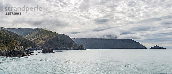 Küste am Meer  Queen Charlotte Sound  Totaranui  Picton  Südland  Neuseeland  Ozeanien