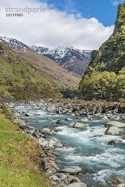 Matukituki River  Fluss fließt durch das Tal  Mount Aspiring National Park  Otago  Southland  Neuseeland  Ozeanien