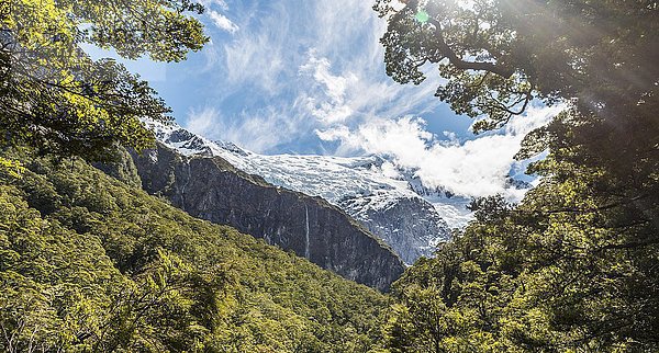 Wasserfall  Rob Roy Gletscher  Mount Aspiring National Park  Otago  Südland  Neuseeland  Ozeanien