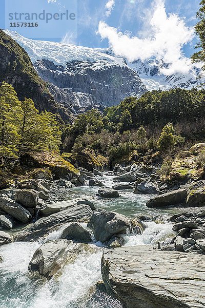 Gletscherfluss  der durch die Berge fließt  Rob Roy Glacier  Mount Aspiring National Park  Otago  Southland  Neuseeland  Ozeanien