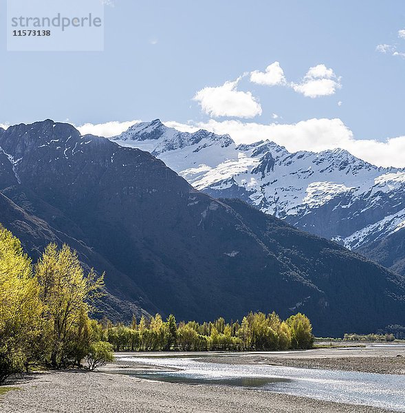 Matukituki River  schneebedeckter Mount Aspiring  Mount Aspiring National Park  Otago  Southland  Neuseeland  Ozeanien