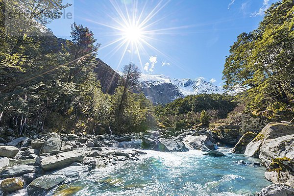 Gletscherfluss  der durch die Berge fließt  Rob Roy Glacier  Mount Aspiring National Park  Otago  Southland  Neuseeland  Ozeanien