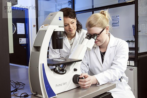 Pharmazeutin am Mikroskop in einem genetischen Labor  Heinrich-Heine-Universität  Düsseldorf  Nordrhein-Westfalen  Deutschland  Europa