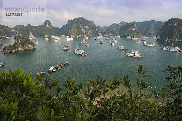 Halong-Bucht mit Booten  Kalksteinfelsen  der Golf von Tonkin  Halong  Nordvietnam  Vietnam  Asien