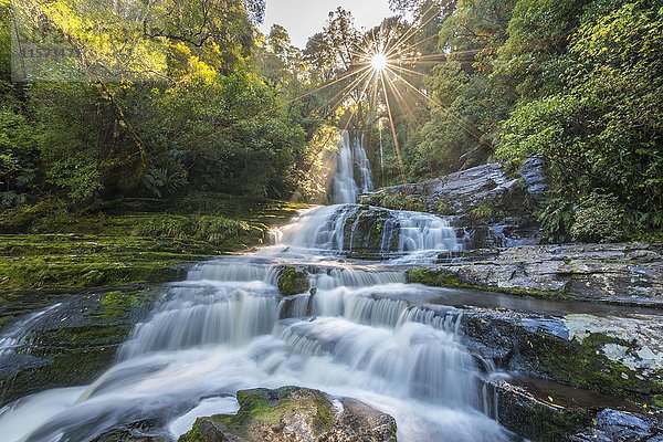 McLean-Wasserfall  Sun Star  Die Catlins  Otago  Südland  Neuseeland  Ozeanien